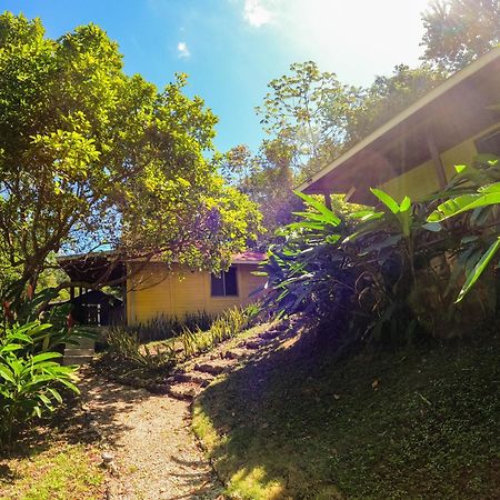 Winika Alterra Villa Palenque Ngoại thất bức ảnh