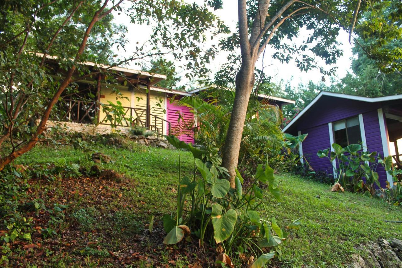 Winika Alterra Villa Palenque Ngoại thất bức ảnh