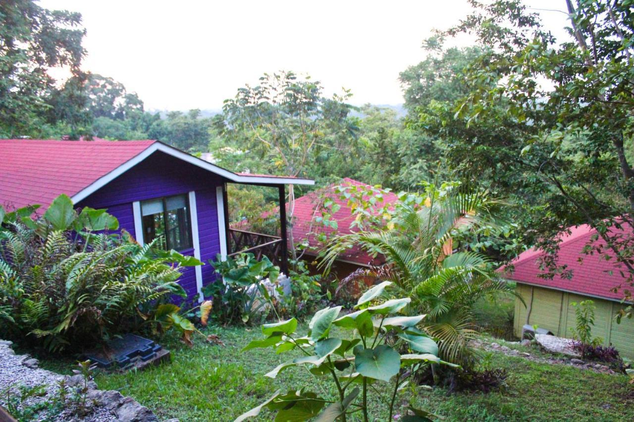 Winika Alterra Villa Palenque Ngoại thất bức ảnh