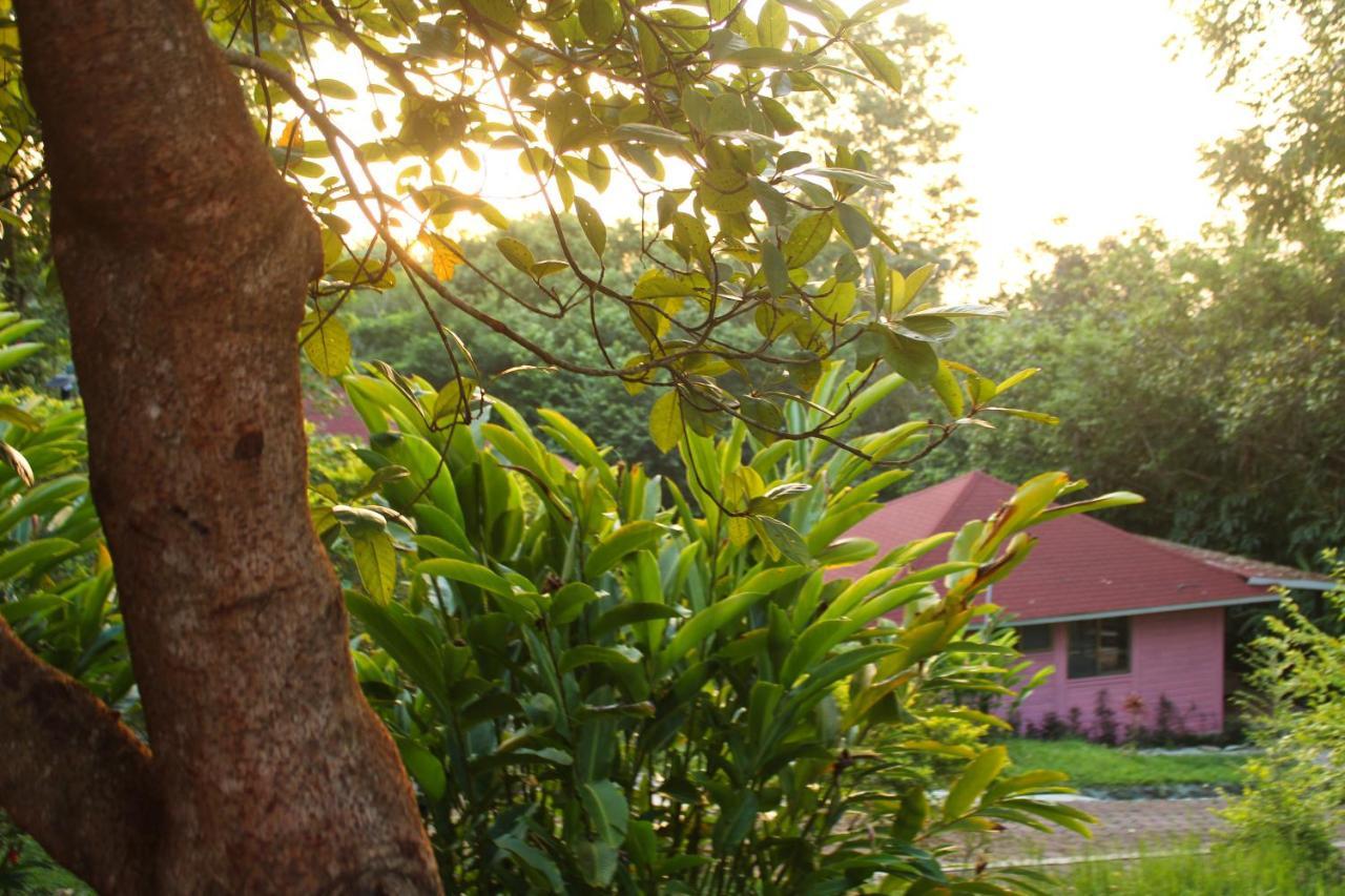 Winika Alterra Villa Palenque Ngoại thất bức ảnh