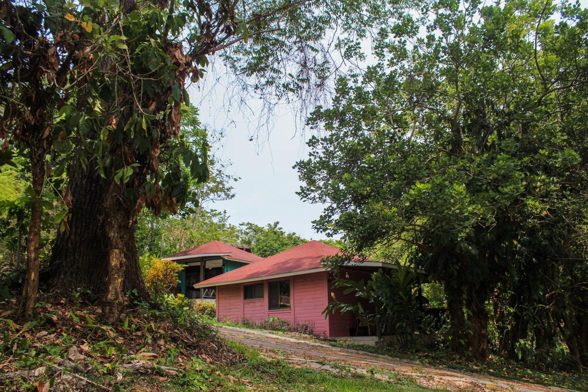 Winika Alterra Villa Palenque Ngoại thất bức ảnh
