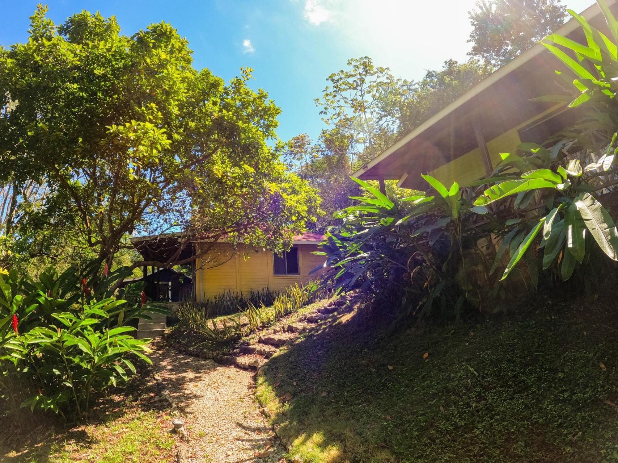Winika Alterra Villa Palenque Ngoại thất bức ảnh